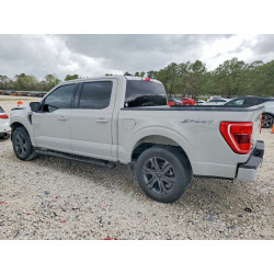 2023 FORD F150 1FTEW1CP2PKE28136 45690516