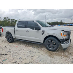 2023 FORD F150 1FTEW1CP2PKE28136 45690516