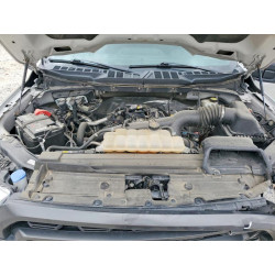 2023 FORD F150 1FTEW1CP2PKE28136 45690516