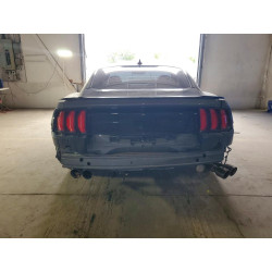 2023 FORD MUSTANG 1FA6P8CF0P5307174 50724346