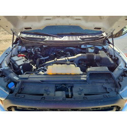 2023 FORD F-150 1FTEW1EP4PKG10496 49098786