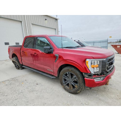 2022 FORD F-150 1FTFW1ED2NFA15940 48288906