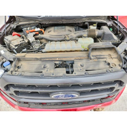 2022 FORD F-150 1FTFW1ED2NFA15940 48288906