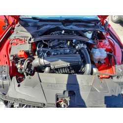 2026 FORD ALL Models 1FAGP8UH0T5110973 51767446