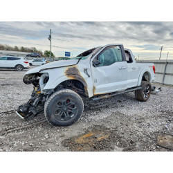 2021 FORD F-150 1FTFW1E52MFA74171 72696095