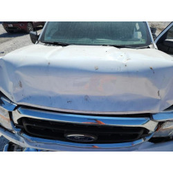 2021 FORD F-150 1FTFX1E82MKE80238 86149725