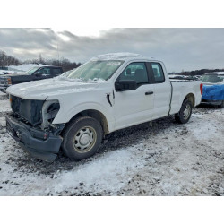 2021 FORD F150 1FTEX1CB1MKD85664 87452205
