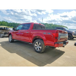 2020 FORD F-150 1FTEW1E4XLFA47253 49951776