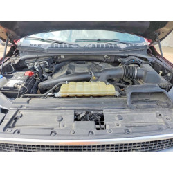 2020 FORD F-150 1FTEW1E4XLFA47253 49951776