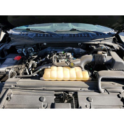 2020 FORD F-150 1FTEW1EPXLFB52109 77359445