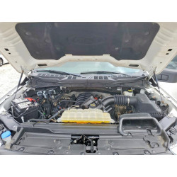 2023 FORD F-150 1FTFW1E5XPKF35340 52173616
