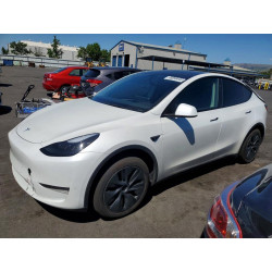 2024 TESLA MODEL Y 7SAYGDED0RF120366 48856446