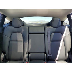 2024 TESLA MODEL Y 7SAYGDED0RF120366 48856446
