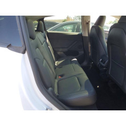 2024 TESLA MODEL Y 7SAYGDED0RF120366 48856446