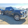 2020 GMC SIERRA 3GTU9DED4LG417230 48862066