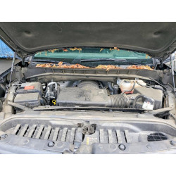 2023 CHEVROLET SILVERADO 3GCUDDED7PG347095 50798196