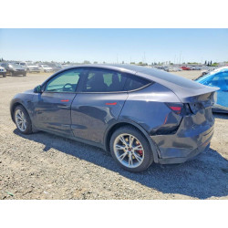 2023 TESLA MODEL Y 7SAYGDEE1PF612457 52431076