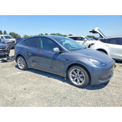 2023 TESLA MODEL Y 7SAYGDEE1PF612457 52431076