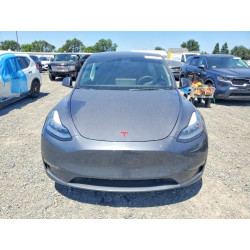 2023 TESLA MODEL Y 7SAYGDEE1PF612457 52431076