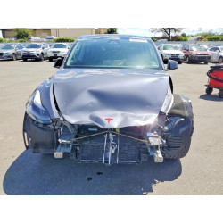 2023 TESLA MODEL Y 7SAYGDEEXPA194719 51009876