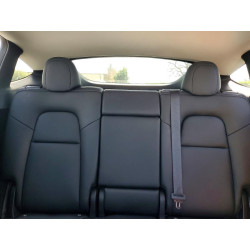 2023 TESLA MODEL Y 7SAYGDEEXPA194719 51009876