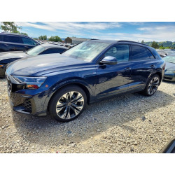 2025 AUDI Q8 WA1FVBF10SD037286 50576016
