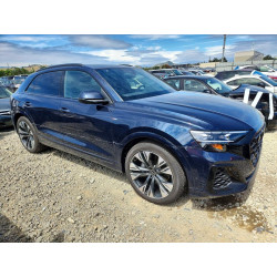 2025 AUDI Q8 WA1FVBF10SD037286 50576016