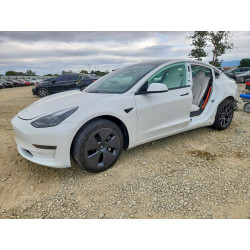 2023 TESLA MODEL 3 5YJ3E1EA7PF607255 50978516