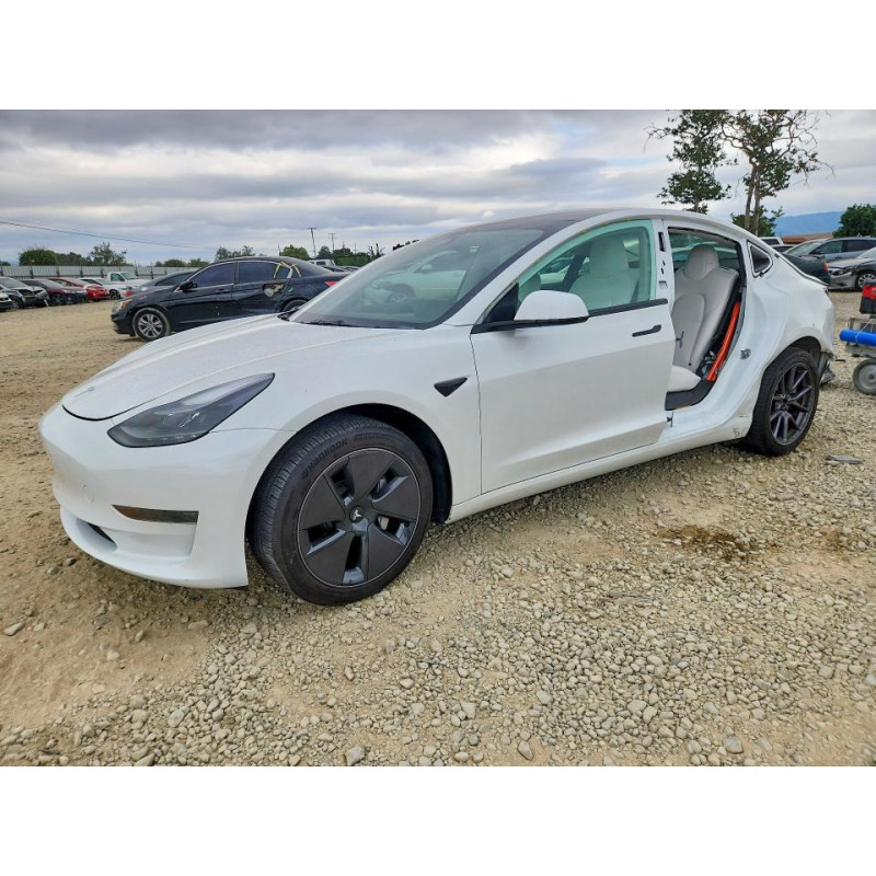 2023 TESLA MODEL 3 5YJ3E1EA7PF607255 50978516