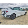 2023 TESLA MODEL 3 5YJ3E1EA7PF607255 50978516