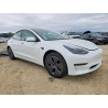 2023 TESLA MODEL 3 5YJ3E1EA7PF607255 50978516