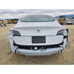 2023 TESLA MODEL 3 5YJ3E1EA7PF607255 50978516