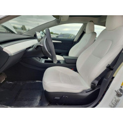 2023 TESLA MODEL 3 5YJ3E1EA7PF607255 50978516