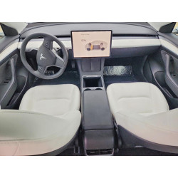 2023 TESLA MODEL 3 5YJ3E1EA7PF607255 50978516