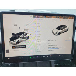 2023 TESLA MODEL 3 5YJ3E1EA7PF607255 50978516
