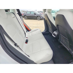 2023 TESLA MODEL 3 5YJ3E1EA7PF607255 50978516