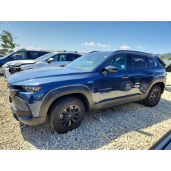 2025 MAZDA CX-50 7MMVAADW2SN119262 51636926