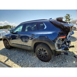 2025 MAZDA CX-50 7MMVAADW2SN119262 51636926