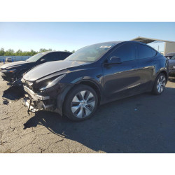 2024 TESLA MODEL Y 7SAYGDED9RF073242 48811596