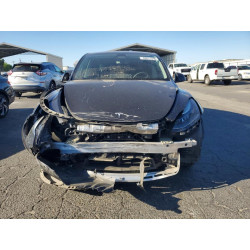 2024 TESLA MODEL Y 7SAYGDED9RF073242 48811596