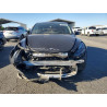 2024 TESLA MODEL Y 7SAYGDED9RF073242 48811596