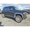 2023 JEEP RENEGADE ZACNJDB17PPP70052 49739856