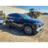 2025 HYUNDAI TUCSON KM8JEDD17SU331827 49455496