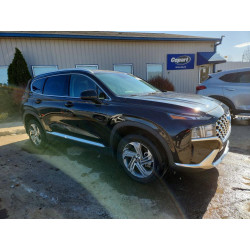 2022 HYUNDAI SANTA FE 5NMS2DAJ7NH459857 47116046