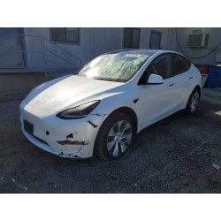 2023 TESLA MODEL Y 7SAYGDEE5PF866981 52939396