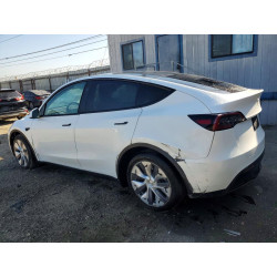 2023 TESLA MODEL Y 7SAYGDEE5PF866981 52939396