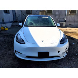2023 TESLA MODEL Y 7SAYGDEE5PF866981 52939396