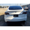 2023 TESLA MODEL Y 7SAYGDEE5PF866981 52939396