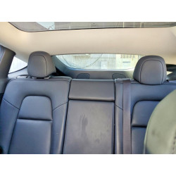 2023 TESLA MODEL Y 7SAYGDEE5PF866981 52939396