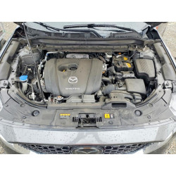 2023 MAZDA CX-5 JM3KFBDM3P0183072 51832496